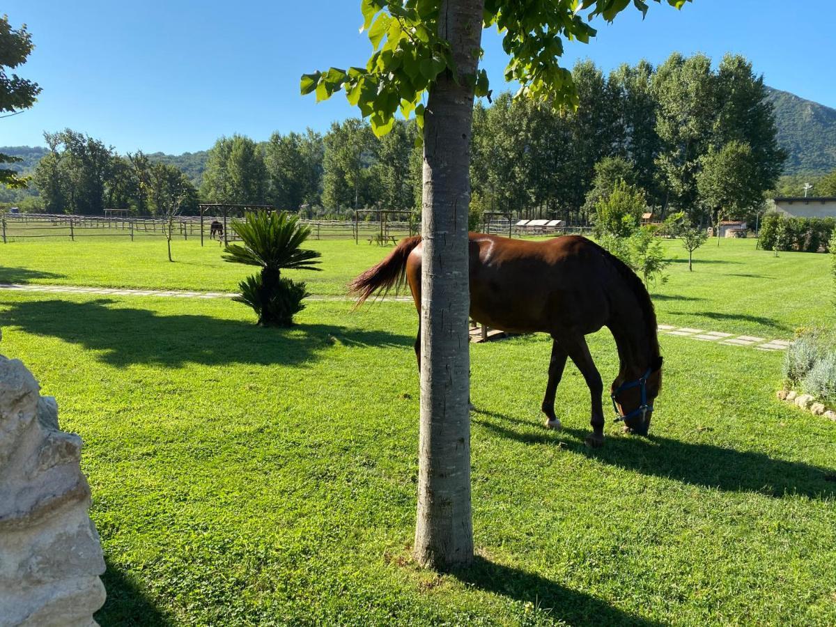 Villa Family Farm Soc. Agr. A R.L. Vairano Patenora Esterno foto