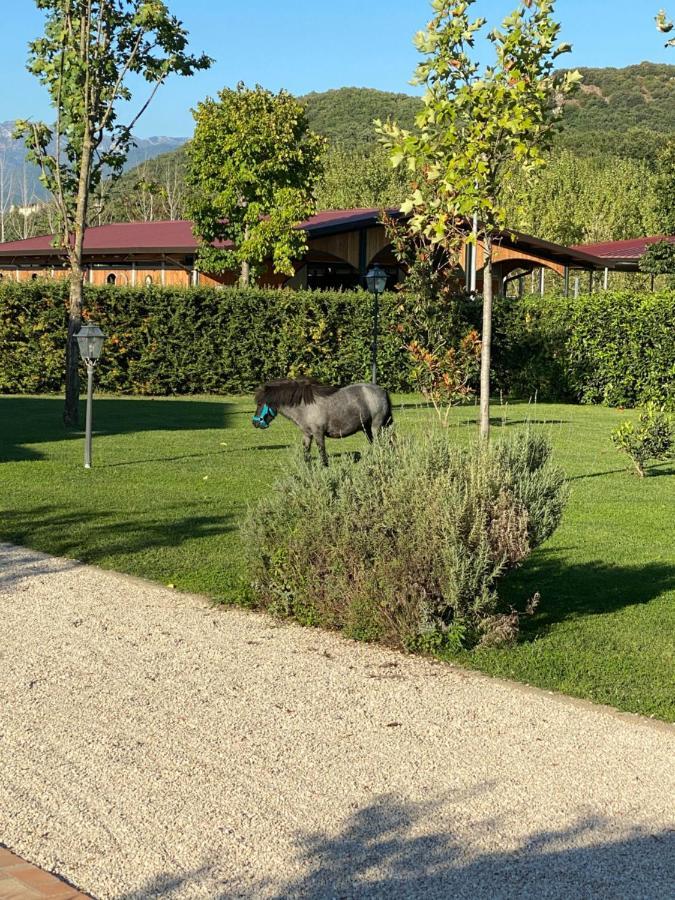 Villa Family Farm Soc. Agr. A R.L. Vairano Patenora Esterno foto