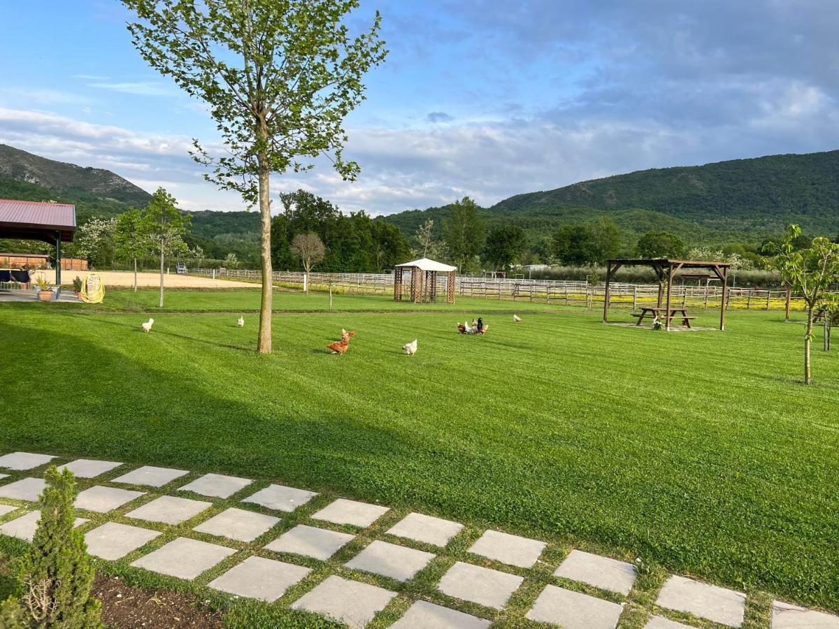 Villa Family Farm Soc. Agr. A R.L. Vairano Patenora Esterno foto
