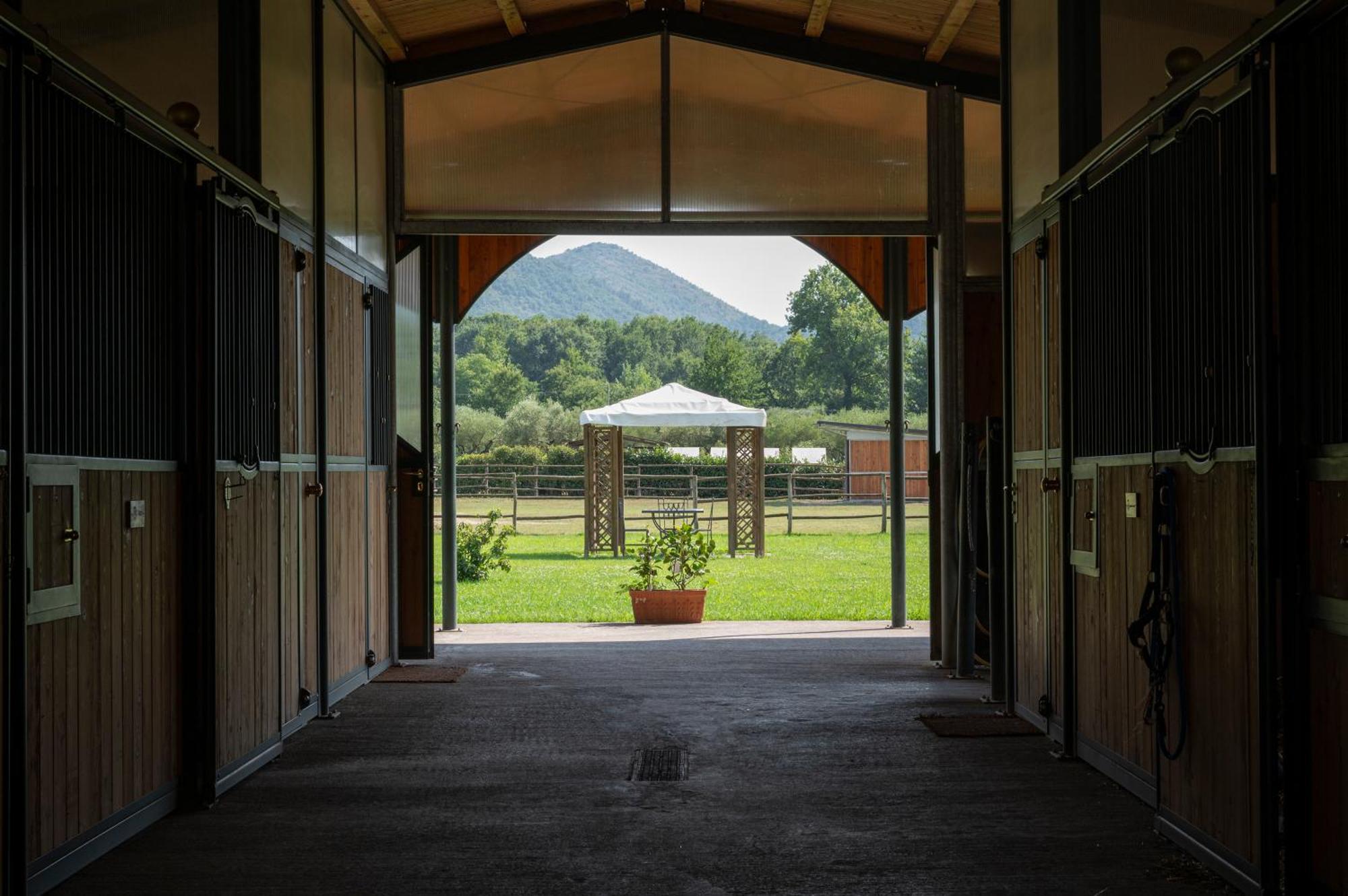 Villa Family Farm Soc. Agr. A R.L. Vairano Patenora Esterno foto